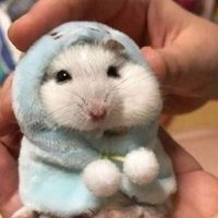 감자 (@m_ring__) 's Twitter Profile