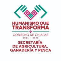 Secretaría de Agricultura, Ganadería y Pesca (@sagyp_oficial) 's Twitter Profile