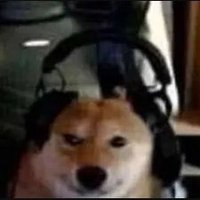 Devost (@devostlan) 's Twitter Profile