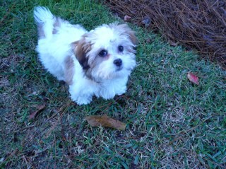 avamariehall's profile picture. 