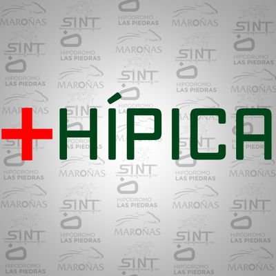 MAROÑAS - LAS PIEDRAS - SINT
Turf Uruguayo en las redes sociales.
Uruguayan Turf on social networks