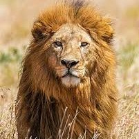 brate229's profile picture. 