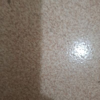ybpthhL7aJFJuzq's profile picture. hi