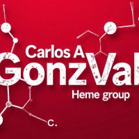 Carlos Alberto GonzVal (Carlitos) 🇨🇷 (@carlos_gonzval) 's Twitter Profile Photo Carlos Alberto GonzVal (Carlitos) 🇨🇷 (@carlos_gonzval) 's Twitter Profile Photo