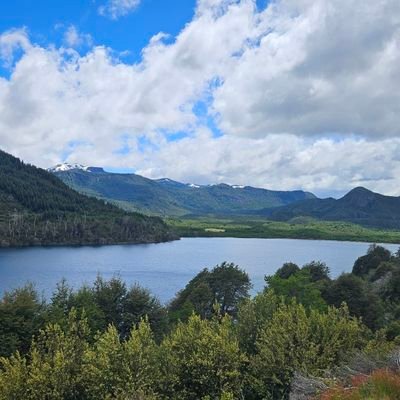 jooeee_C's profile picture. El problema con los fanáticos es que siempre encuentran a alguien a quien culpar por la vida que llevan.