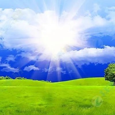 1981hyx's profile picture. 