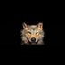 Serdar atılgan (@serdaratlg49233) Twitter profile photo Serdar atılgan (@serdaratlg49233) Twitter profile photo