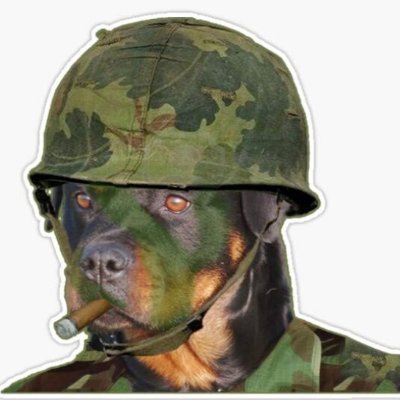 DogFacedPonySdr's profile picture. 