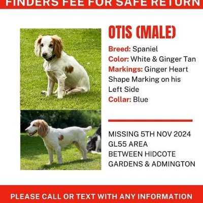 Stolen Missing Longtimelost 🐾Where Are They All Profile