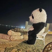 عُمر (@somecalmuser) Twitter profile photo