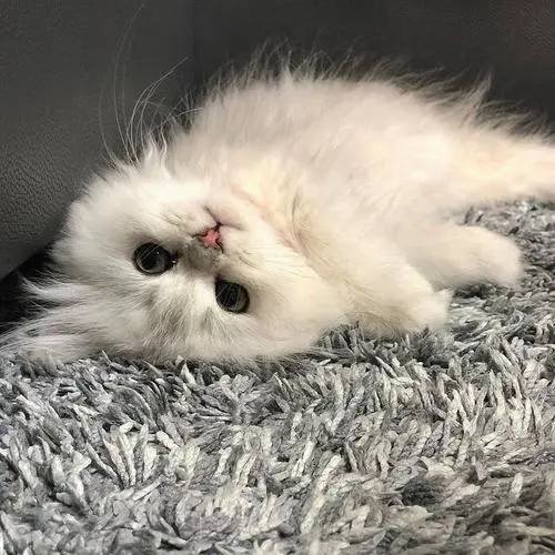 BNatural1128354's profile picture. 