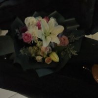 A (@amncvv) 's Twitter Profile