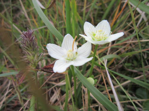 pstsba's profile picture. 세상과의 소통/소통/소통
맛팔/맛팔/맛팔/