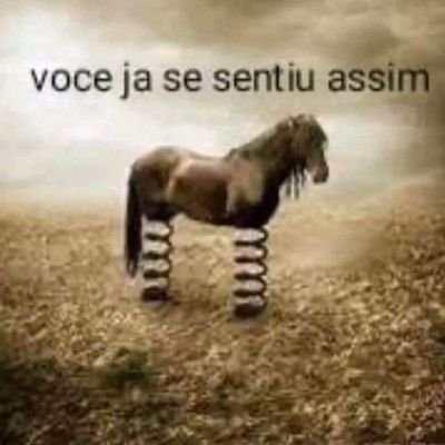 besteiramenina's profile picture. não