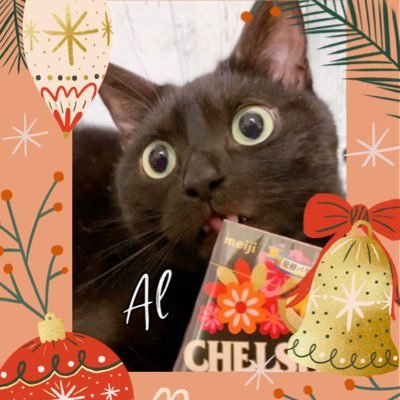 黎猫リィゼ*♬೨̣̥さんのプロフィール画像