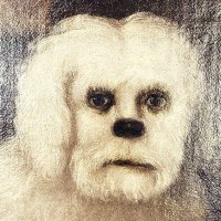 Eepy Club (@eepyclub) 's Twitter Profile