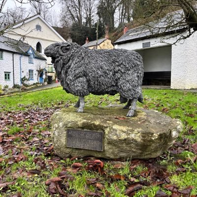 hornetfancier's profile picture. 