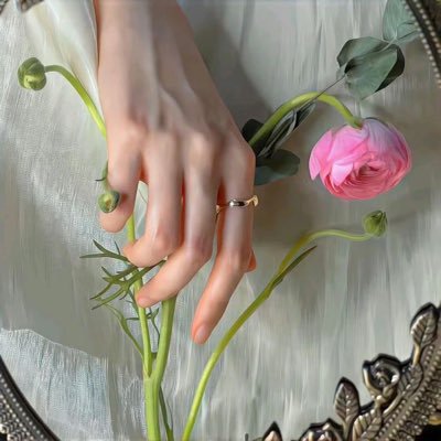 ranunculuss's profile picture. 