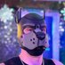 Pup Sledge (@pupsledge) Twitter profile photo Pup Sledge (@pupsledge) Twitter profile photo