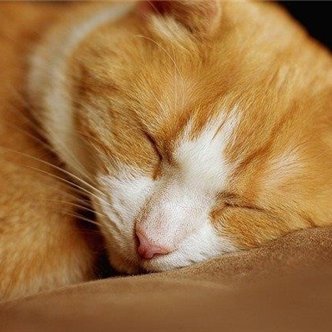 mahiro630665686's profile picture. お金の悩み解決術やお得な情報など教えたりしています。私自身お金に苦労した経験からお金に困窮している方の力になれればと思い、少額ですが現金給付企画をしております☆ 詳細はこちら▷ https://t.co/i38L3U4ZfM