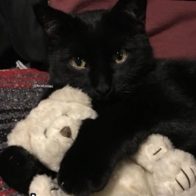 un_poptart's profile picture. 