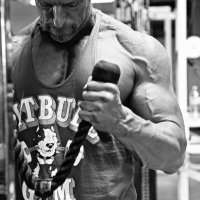 Forged Training (@advancedforged) 's Twitter Profile