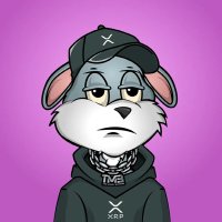 The Money Bunnies💰🐰 (@themoneybunnies) 's Twitter Profile