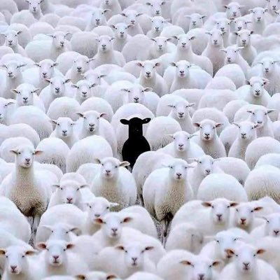 verity94150's profile picture. Truth Warrior