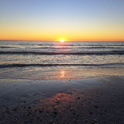 Realtor®
Century 21
Real Estate Champions
Madeira Beach Florida🐚🐬🌴
I would love to help you find the perfect home on the Gulf of Mexico!🦩🌞🌺