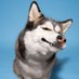 BitrockCORGI (@bitrock_corgi) Twitter profile photo BitrockCORGI (@bitrock_corgi) Twitter profile photo
