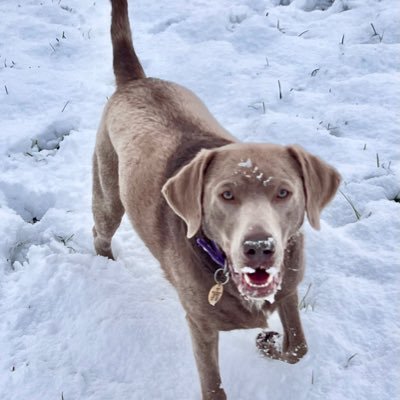 DeborahSymon's profile picture. 