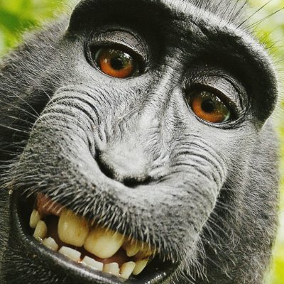 SpiceLife47's profile picture. 