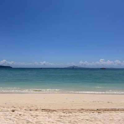 eIenarose's profile picture. 