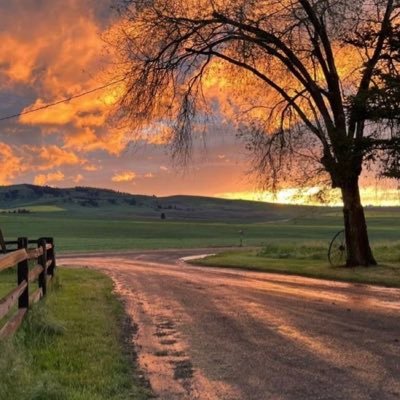 aabb22393's profile picture. 