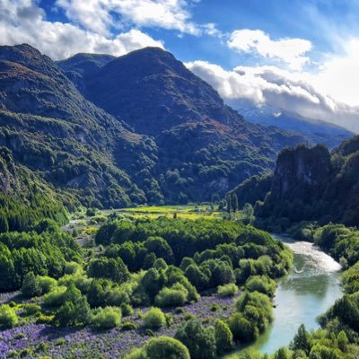 VBendee's profile picture. As opiniões aqui são pessoais e não são recomendações de investimentos.