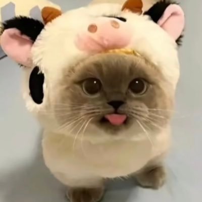 dirkdiggler1187's profile picture. Yt streamer - https://t.co/czsxC7kRSU