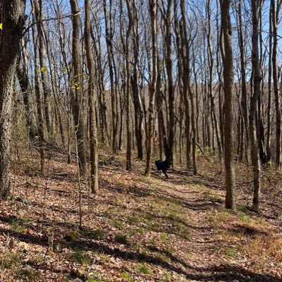 Win_o_ns's profile picture. 