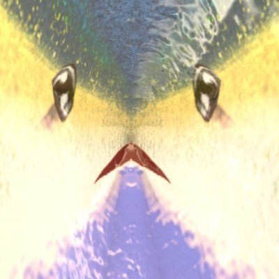 アカウント作り直した。「のつめ。」とお呼びくださいませ。またはブリ。創作を置いたり好き勝手するので心してかかりなさい。