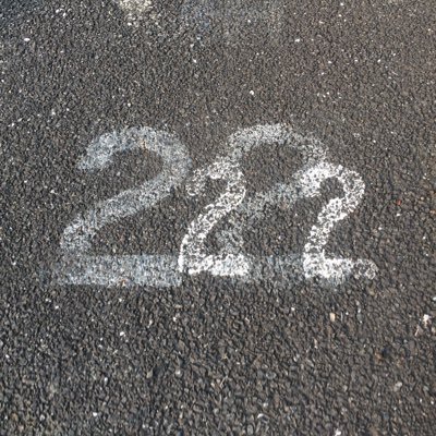 chaniwa555's profile picture. 