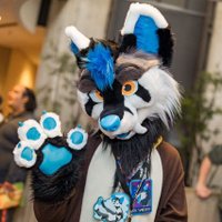 Kai ๐ Mountain near you (@summersaberfox) 's Twitter Profile
