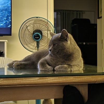 hungnguyen87's profile picture. 