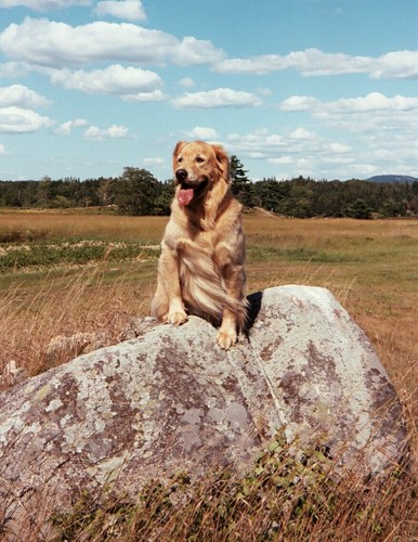 JeffZarin's profile picture. Background includes EMBA from Loyola University MD. Responsibilities-Finance/Accounting/Risk Mgmt/IT/Marketing