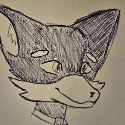 Fawkes 🦊🔪さんのプロフィール画像