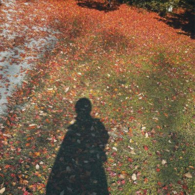 Rin135design's profile picture. ER nurse🚑 | Webデザイン勉強中📚