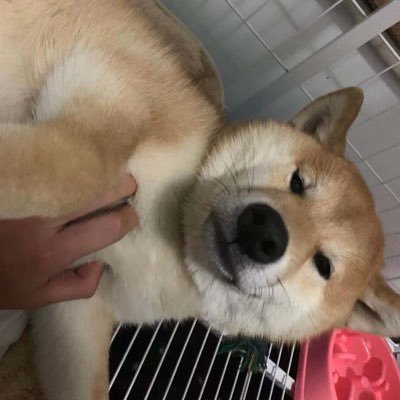 Jkris930328's profile picture. 