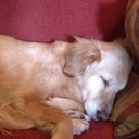 Paula Blades - @BladesPaula - Twitter