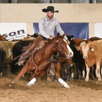 Casey Bieroth (@775_cattle) 's Twitter Profile