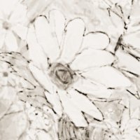 𝜽 (@sonne_emb) 's Twitter Profile Photo