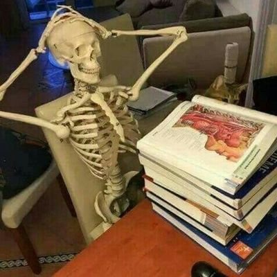 studywmanu's profile picture. vestibulanda tentando não enlouquecer (falhando) #studytwt