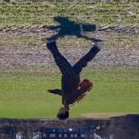 cal (@wormsandomar) 's Twitter Profile